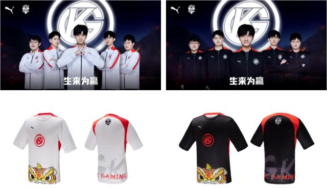 家意甲球队 家意甲球队